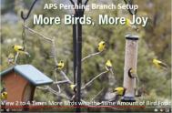 APS Perching Branch Setup